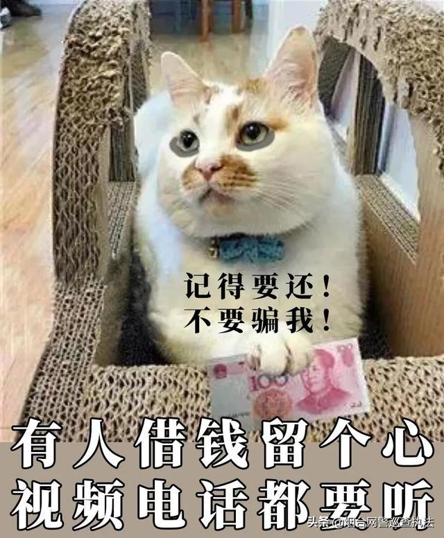 78310a55b319ebc471431c26c6f65cfb1f1716a9.jpeg