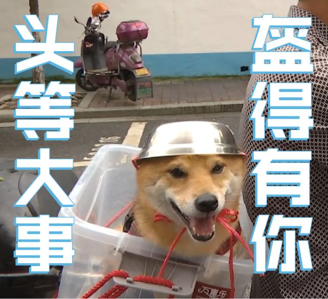 inews.gtimg.png