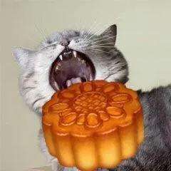 downloadfile-1662627589609.jpeg